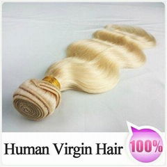 2pcs/lot 6A 613# 100% Virgin Human Hair