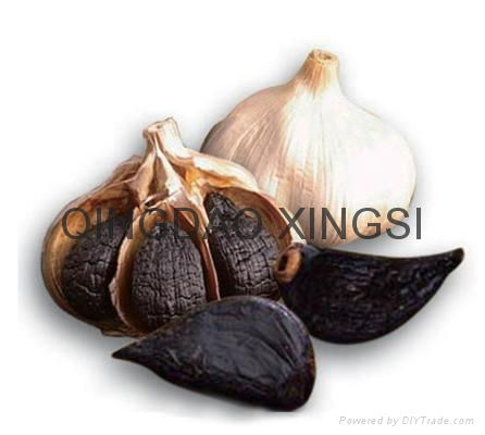 black garlic 2