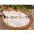 HOT SALE MODIFIED CORN STARCH 1