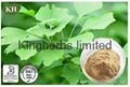 Ginkgo Biloba Extract 1