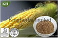 Zea Mays Extract