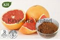 Grapefruit Seed Extract