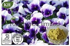 Viola Tricolor Extract
