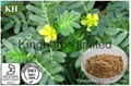 Tribulus Terrestris Extract