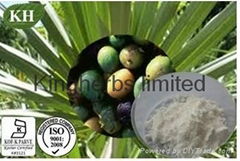 Saw Palmetto Extract