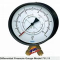 711.11 Wika Differential Pressure Gauge 1