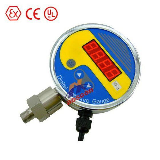 Digital Pressure Gauge