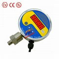 Digital Pressure Gauge