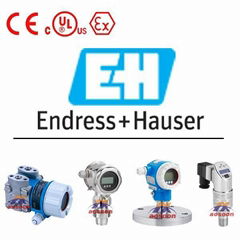 Endress Hauser Transmitter