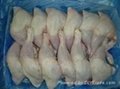 WHOLE HALAL CHICKEN AND PARTS FOR SALE 1