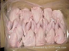 FROZEN WHOLE HALAL CHICKEN FOR SALE