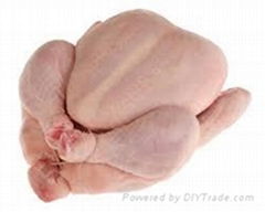 QUALITY FROZEN CHICKEN FOR SALE