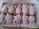 BEST QUALITY FROZEN WHOLE CHICKEN AND PARTS