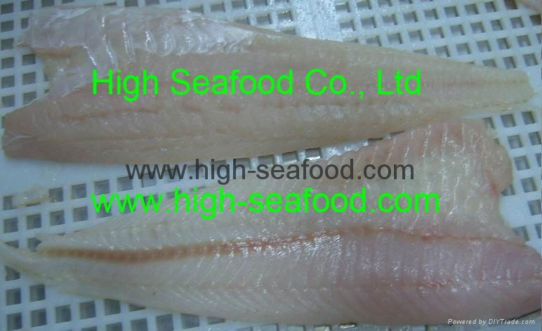 Frozen Pacific Cod Fillet 