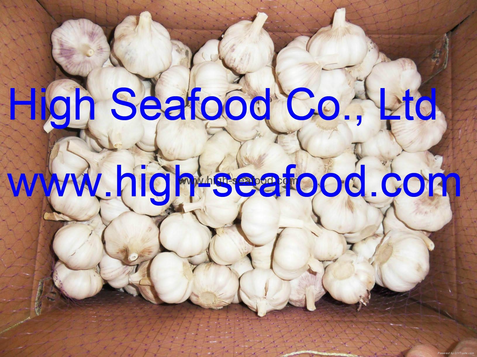 Garlic garlic (China Manufacturer) Processed Vegetable Processed Food Products DIYTrade