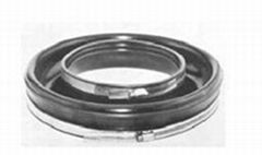 Casing End Seals