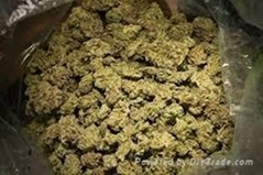 BEST WEED AND TABACCO FOR SALE