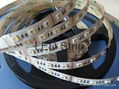 Newest 5050 SMD 4-in-1 RGBW LED Strip RGBW 4 chips in 1 LED RGBW LED Strip 1