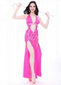 Pink Spandex Belly Dance Performance Costumes  Belly Dancing Clothes 1