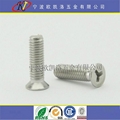 余姚 M5X20mm Y槽不鏽鋼防盜螺絲 1