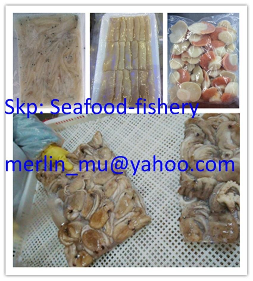 Frozen Cephalopod Fishery Products