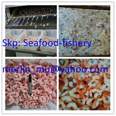 Frozen shrimps (shrimp meat、shrimp headless tail on )