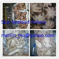 IQF / BQF frozen Octopus Vulgaris