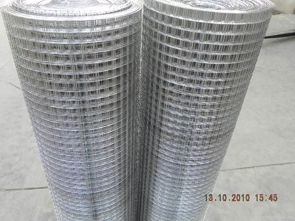 welded wire mesh high quality and low cost