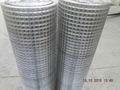 square welded wire mesh