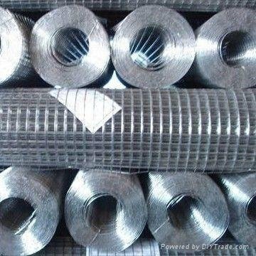 welded wire mesh high quality and low cost 4