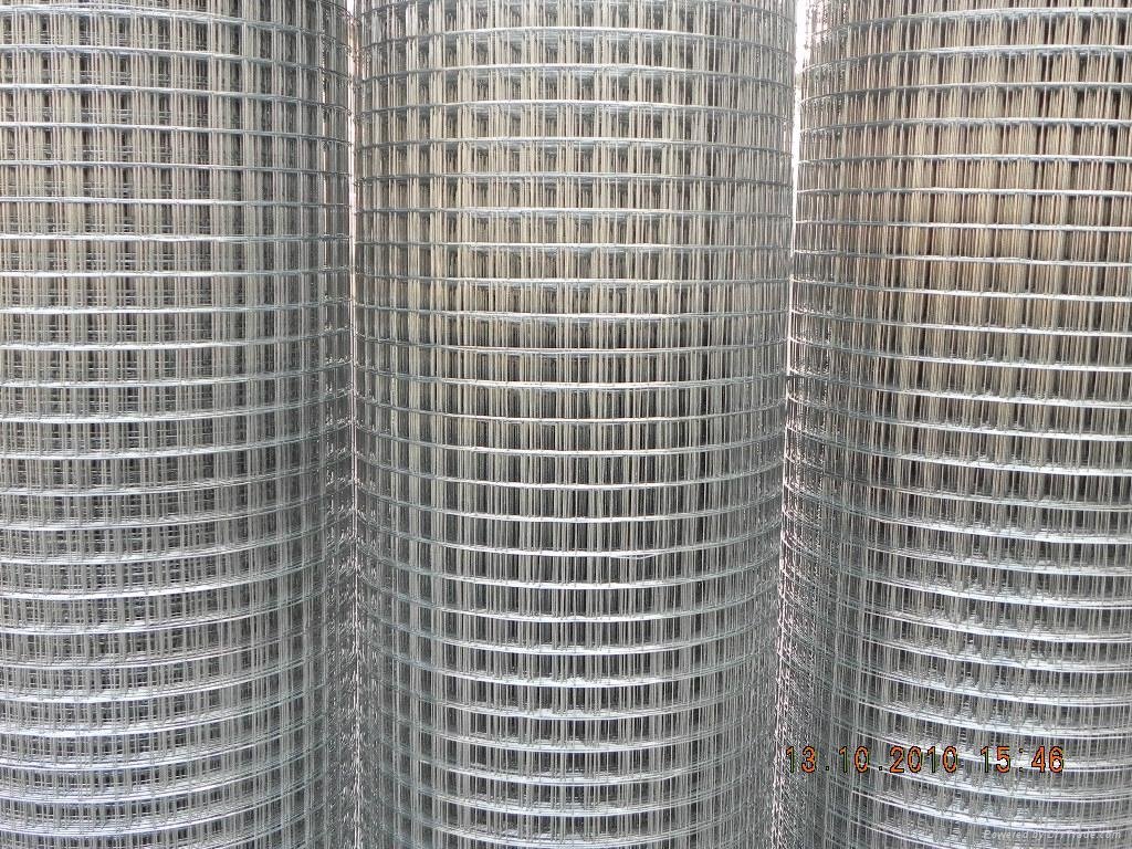 welded wire mesh high quality and low cost 5