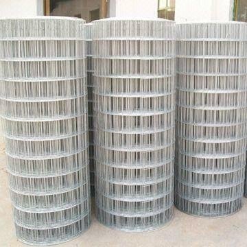 galvanized welded wire mesh high quality and low cost