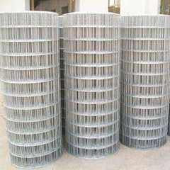 galvanized welded wire mesh high quality and low cost