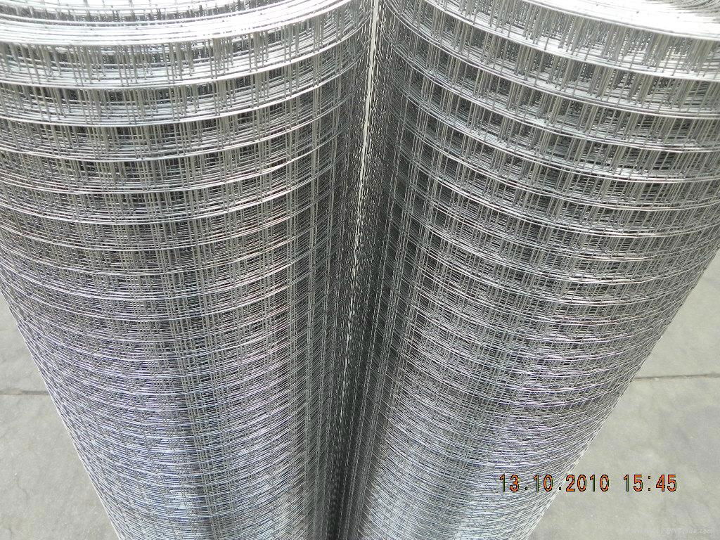 galvanized welded wire mesh high quality and low cost 3