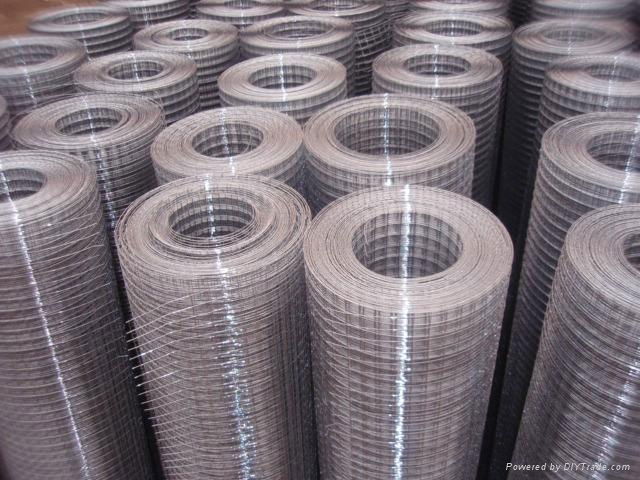 galvanized welded wire mesh high quality and low cost 4