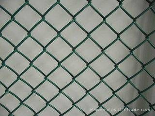PVC coated chain link fence FATCTORY DIRECT