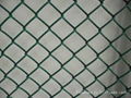 PVC coated chain link fence FATCTORY DIRECT 1