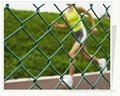PVC coated chain link fence FATCTORY DIRECT 4