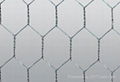 hexagonal wire mesh high quality and low cost