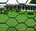 PVC coated hexagonal wire mesh high quality and low cost 2