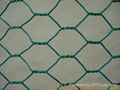 PVC coated hexagonal wire mesh high quality and low cost 1