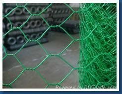 PVC coated hexagonal wire mesh high quality and low cost 3