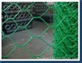 PVC coated hexagonal wire mesh high quality and low cost 3
