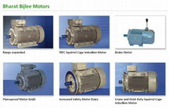 Bharat Bijlee Electrical Motors