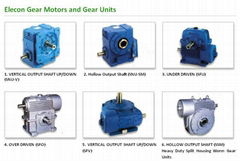 Elecon Worm Gear