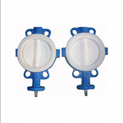 Full PTFE Coated Wafer Butterfly Valve