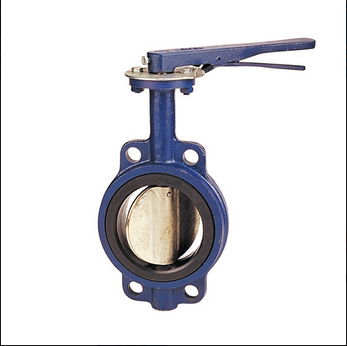 Full PTFE Coated Wafer Butterfly Valve 2