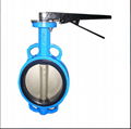 Full PTFE Coated Wafer Butterfly Valve 4