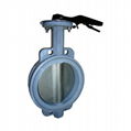 Full PTFE Coated Wafer Butterfly Valve 5