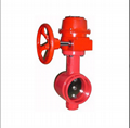 Grooved ends fire signal butterfly valve